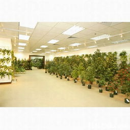 華達(dá)工廠 匠心制造，品質(zhì)卓越的裝飾藝術(shù)專家